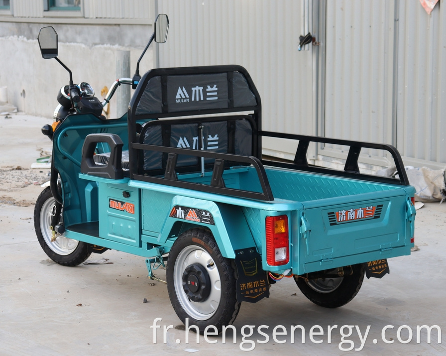 Manned Electric Tricycle